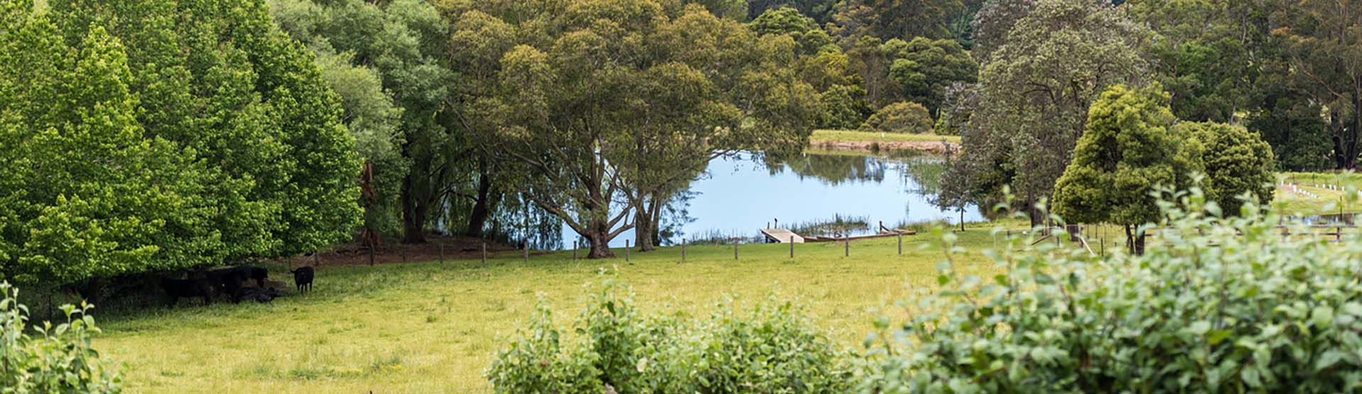 who-bottom Southern Highlands Farm Management