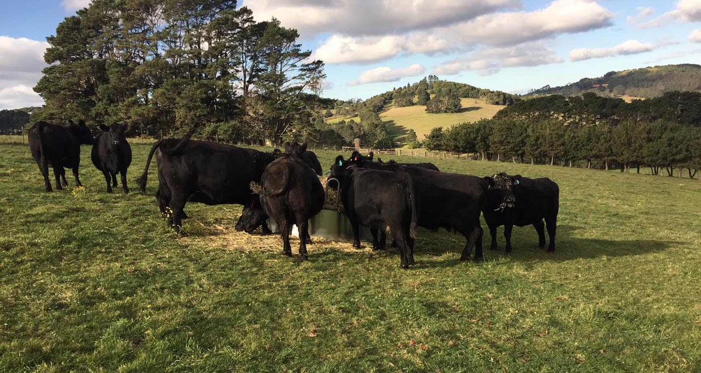 Farm Management We make Southern Highlands farms happy