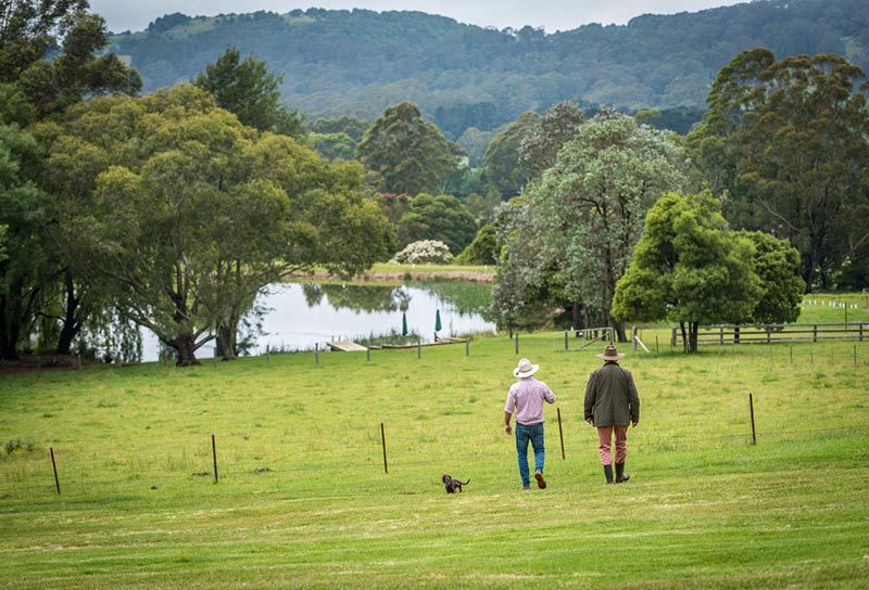 what-we Southern Highlands Farm Management, Our services