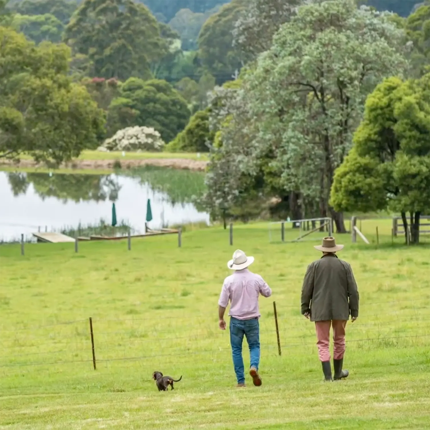 Southern Highlands Farm Management - Our Services