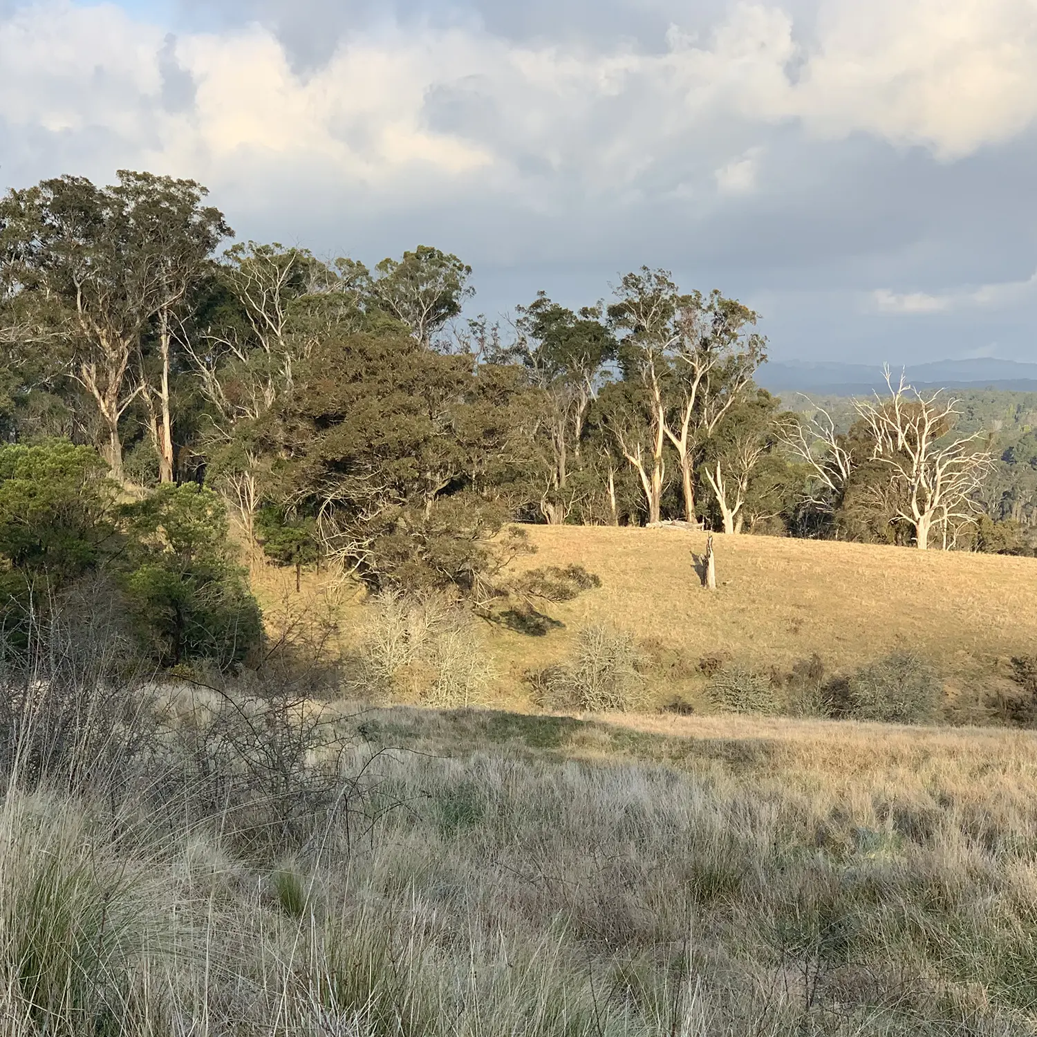 Southern Highlands Farm Management - Our Services