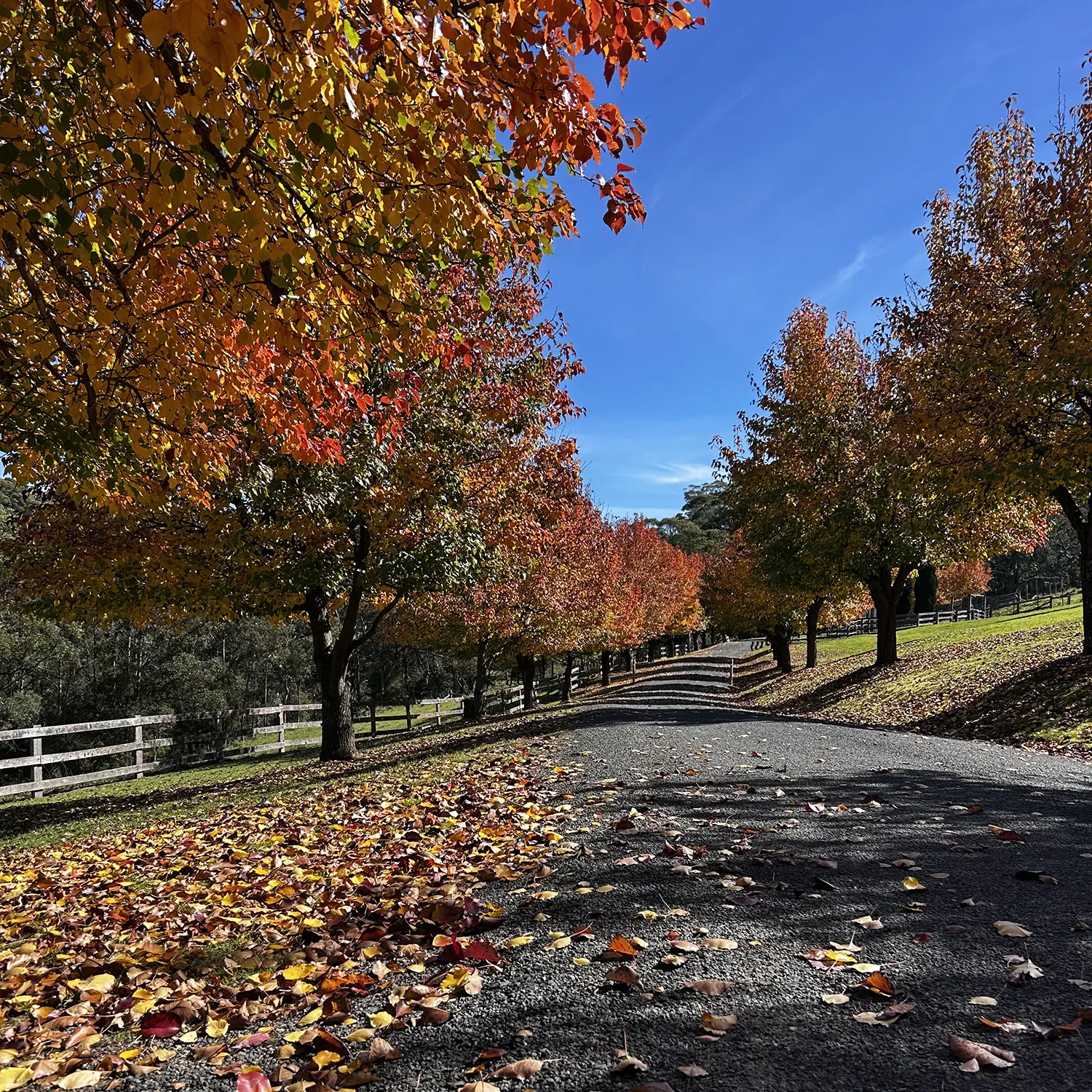 Southern Highlands Farm Management