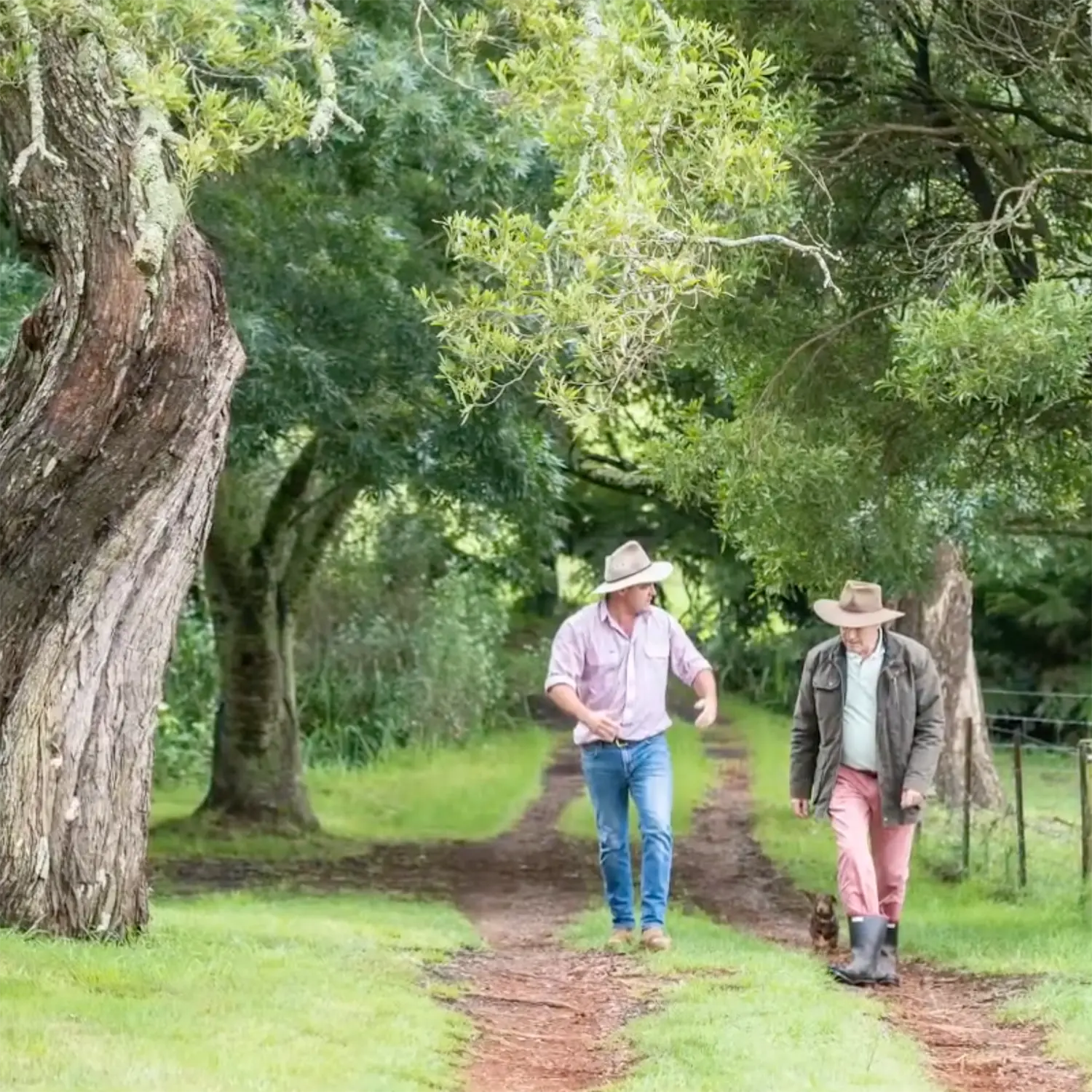 Southern Highlands Farm Management